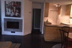 4. fireplace and kitchen